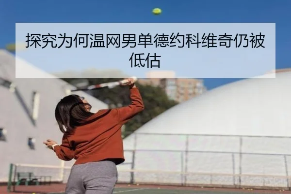 探究为何温网男单德约科维奇仍被低估